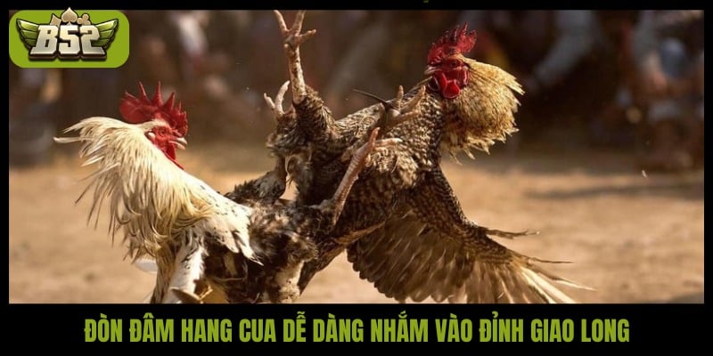 Đòn đâm hang cua dễ dàng nhắm vào đỉnh giao long