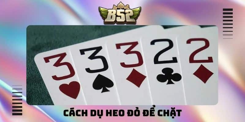 Cách dụ heo đỏ để chặt