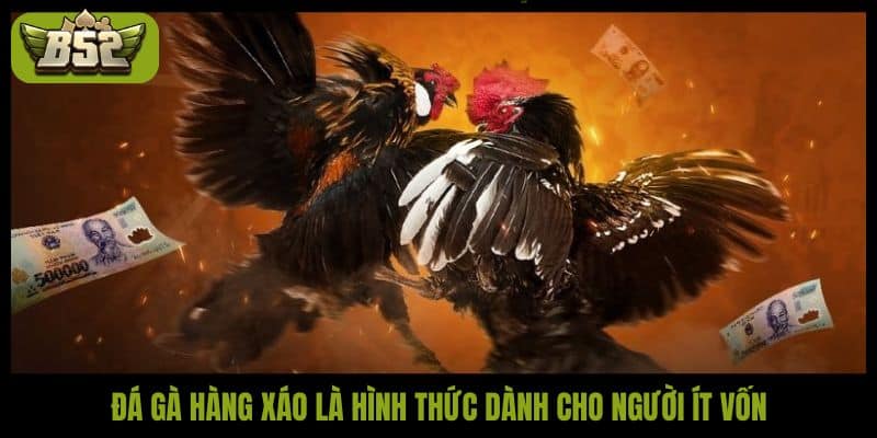 Đá gà hàng xáo là hình thức dành cho người ít vốn