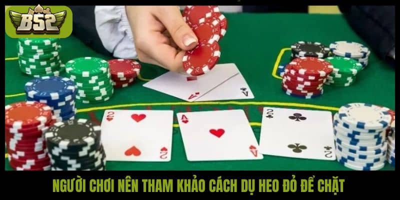 Người chơi nên tham khảo cách dụ heo đỏ để chặt